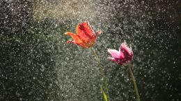 How to Be "Bigger" than Any Problem in Life