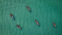 Online Study Group Meeting for Monday (2/5/2024)