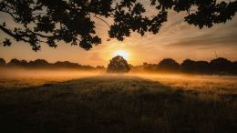 Student Q&A with Guy on "A Simple Prayer to Soften the Heart of Whosoever Remembers the Need to Speak It" (2/4/24)