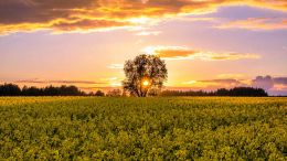 Enter the Perfect Protection of the Presence Moment