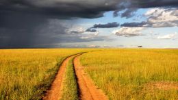 Find the Field of Freedom Somewhere Out Beyond Fear