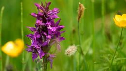 Online Study Group Meeting for Monday (7/24/2023)