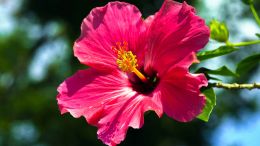 Student Q&A with Guy on "Go Beyond Painful Limitation to Realize Fearless Being" (6/30/21)