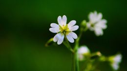 Your Humiliation Is Your Salvation