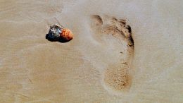 Take the First Step Out of and Away from Runaway Reactions