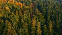 Move from the Mental How into the Spiritual Now