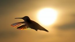 Turn the Fear of Limitations into Fearlessness