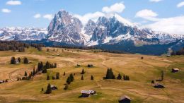 Student Talks on "Find the One True Answer to Any Painful Question" (7/2/21)