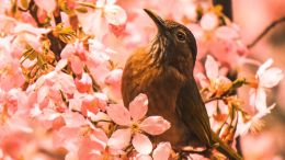 Unite Your Heart with the Will of Heaven and Be Made Whole