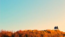 Blaming Others or Yourself Is Always a Waste of the Moment