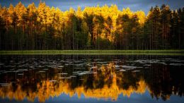 Your Invitation to Enter Into Effortless Meditation