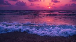 Learn To Go Beyond Yourself and Win a Glimpse of True Self