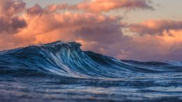 Enter Into the Safety and Strength of a Quiet Mind