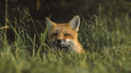 See This Truth and Stop Stealing From Yourself