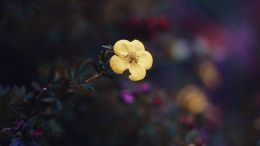 Student Talks on "Find the One True Answer to Any Painful Question" (7/2/21)