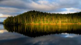 Student Talks on "How to Wake Up and Walk Out of Any Dark Moment" (4/29/22)