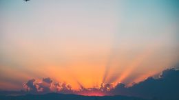 Let the Fear of Being No One Fade Away