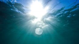 Realize the Lasting Waters of True Self