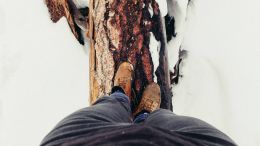 Standing Up or Letting Go