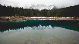 Silence is Perfect Reflection