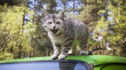 Fall Out of Love With What's Lashing You!