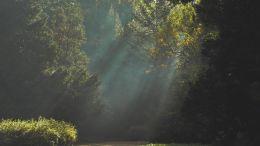 The Path to Self-Perfection