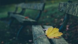 What You Want Waits for You