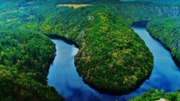 Saturdays with Guy (5/21/2011)