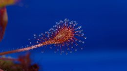 The Secret of Having a Whole Life