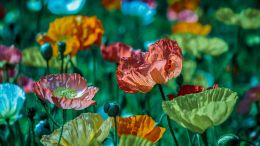 Saturdays with Guy (8/24/2013)