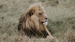 The Secret of Fearless Living