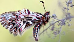 Realize a Whole New Relationship with Real Life