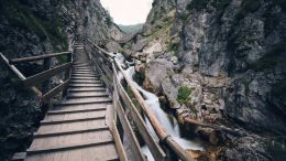 The First Step to Realizing True Self-Command