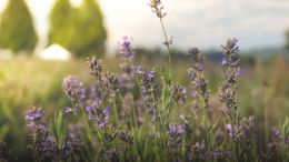 Start Seeing How Others See You and Watch Old Conflicts Fade From View