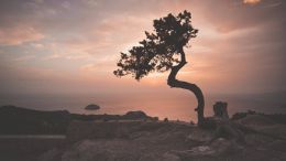 Saturdays with Guy (8/6/2016)