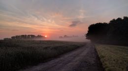 Unnatural Grief and Mourning