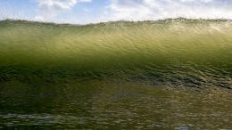 The Divine Answer to All That Disturbs You