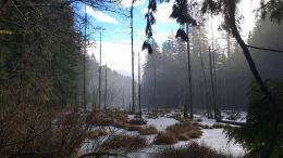 Make it Safely Through the Spiritual Swamps of Darkness