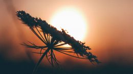 Participate in the Pure Moment of Life