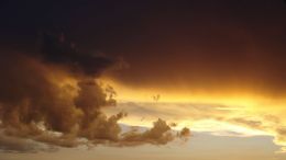 The Triumph of God's Life