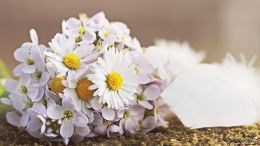 Insights & Instructions Along the Timeless Path of Self-Knowing