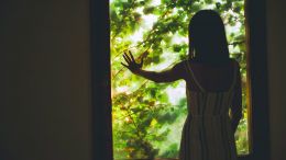 Student Q&A with Guy on "Stop Being a Prisoner of Painful Negative Reactions" (2/28/21)