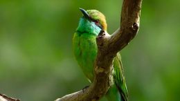 Student Talks on "Do This When It Feels Like Life Is Trying to Pull You Apart" (7/14/23)