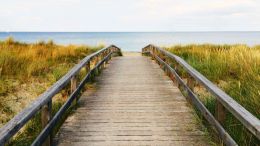 Student Q&A with Guy on "Go Beyond Painful Limitation to Realize Fearless Being" (6/30/21)