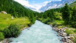 Student Q&A with Guy on "Go Beyond Painful Limitation to Realize Fearless Being" (6/30/21)