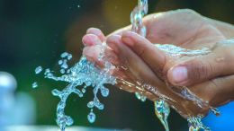 We are Given Everything that We Need