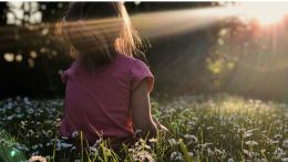 Online Study Group Meeting for Monday (7/1/2024)