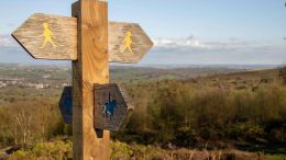 Online Study Group Meeting for Monday (9/30/2024)