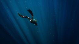 Online Study Group Meeting for Monday (5/20/2024)