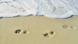 Online Study Group Meeting for Monday (7/15/2024)